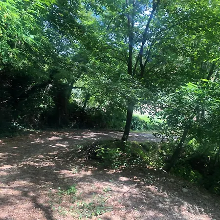 Campsite Foret Proche Centre Nice